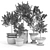 Rustic Villa Planters Kit 3D model small image 3