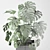 Tropical Monstera Pot Plant 3D model small image 3