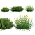 Santolina Rosmarinifolia Grass: Versatile, High-Quality 3D Model 3D model small image 1
