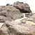 Seaside Stone Collection: 4 3D Beach Rock Models 3D model small image 2