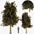 Sylvan Spruce: Two Majestic Pines 3D model small image 1