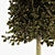 Sylvan Spruce: Two Majestic Pines 3D model small image 3