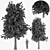 Sylvan Spruce: Two Majestic Pines 3D model small image 4