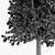 Sylvan Spruce: Two Majestic Pines 3D model small image 5