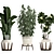 Exotic Plant Collection 425: Frangipani, Plumeria, Dracaena, Bamboo 3D model small image 4
