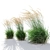 Graceful Feather Reed Grass 3D model small image 2