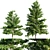 Elegant Nyssa Sylvatica Tree 3D model small image 1