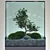 Elegant Bonsai Tree - Perfect for V-Ray! 3D model small image 1