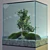 Elegant Bonsai Tree - Perfect for V-Ray! 3D model small image 2