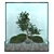 Elegant Bonsai Tree - Perfect for V-Ray! 3D model small image 6