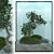 Elegant Bonsai Tree - Perfect for V-Ray! 3D model small image 8