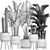 Exotic Plant Collection: Cacti & Palms 3D model small image 5