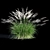 Miscanthus Sinensis: Ornamental Grass 3D model small image 3