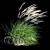 Elegant Wind-Swept Miscanthus 3D model small image 3