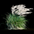 Elegant Wind-Swept Miscanthus 3D model small image 7