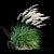 Elegant Wind-Swept Miscanthus 3D model small image 8