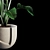 Green Oasis: Indoor Plant Collection 3D model small image 3
