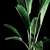 Green Oasis: Indoor Plant Collection 3D model small image 4