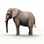 Realistic Elephant Figure 3D model small image 3