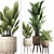 Plant Collection: Exotic Houseplants 3D model small image 1