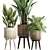 Plant Collection: Exotic Houseplants 3D model small image 3