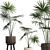 Exotic Houseplants Collection 3D model small image 2