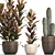 Exotic Houseplant Collection 3D model small image 3