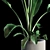 Green Oasis Indoor Plant Set 3D model small image 3