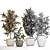 Exotic Collection: Croton Houseplants 3D model small image 4