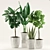 Lush 168: Aloe Vera, Rubber & Ficus Pandurata 3D model small image 2