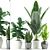Lush 168: Aloe Vera, Rubber & Ficus Pandurata 3D model small image 3