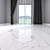 Luxurious Afyon White Marble Floor 3D model small image 2