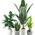 Exotic Plant Collection: Banana, Rubber, Aloe Vera, Palm 3D model small image 2