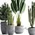 Exotic Plant Collection: Banana Palm, Ravenala, Dracaena, Cereus, Sansevieria 3D model small image 2