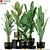  Lush Green Indoor Plants 3D model small image 1