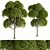 Round Leaf Broadleaf Tree 3D model small image 1