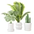 Tropical Greenery Trio in Ceramic 3D model small image 3