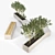 Olive Tree Box Planter 3D model small image 4