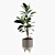 Green Oasis Indoor Plant Set 3D model small image 1