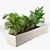 Tropical Box Planter 3D model small image 2