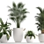 Exotic Houseplant Collection 3D model small image 2