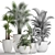 Exotic Houseplant Collection 3D model small image 3