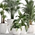 Exotic Houseplant Collection 3D model small image 4