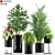 234 Variety Plant Collection 3D model small image 1