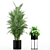 234 Variety Plant Collection 3D model small image 4