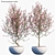  Blooming Beauty: Prunus persica 3D model small image 1