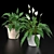 Duo Plant Happiness Set 3D model small image 3