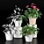 Duo Plant Happiness Set 3D model small image 4