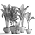 Exotic Houseplant Collection: Croton, Banana Palm, Ravenala, Cordyline 3D model small image 5