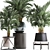 Exotic Palm Plant Collection 3D model small image 4